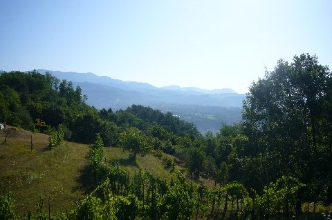 fotoIn posizione dominante sulla vallata, alla sommità di una piccola collina, casa colonica e piccolo podere con campi e vigna.