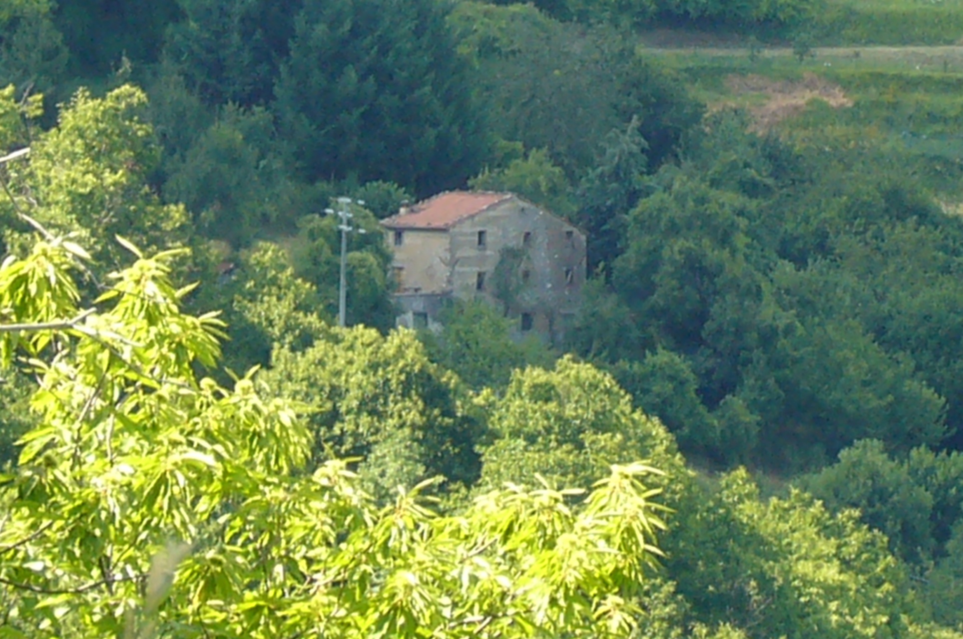 Rustico - Cascina GALLICANO vendita    HOUSES IN TUSCANY
