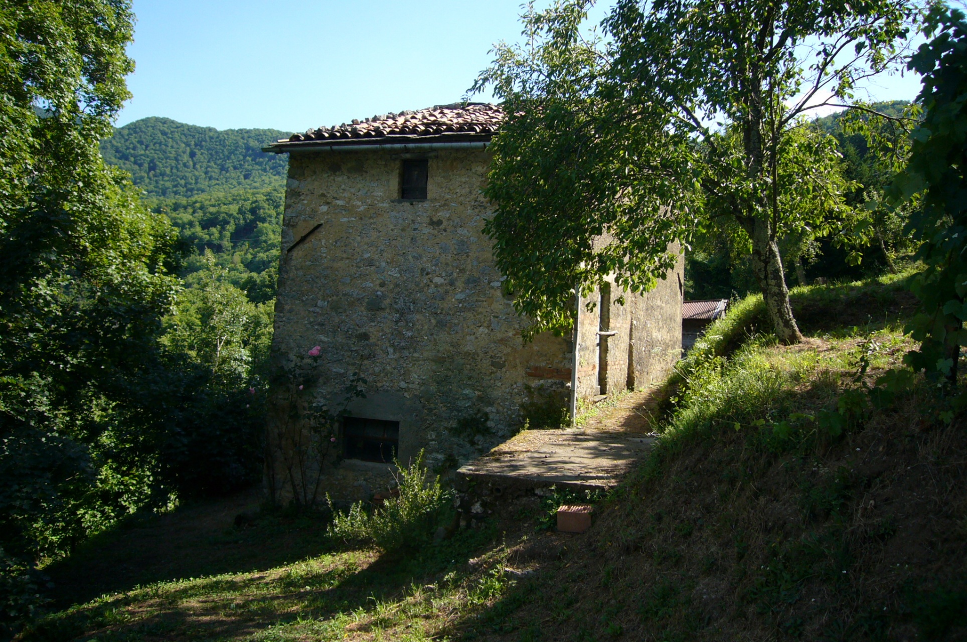 Rustico - Cascina GALLICANO vendita    HOUSES IN TUSCANY