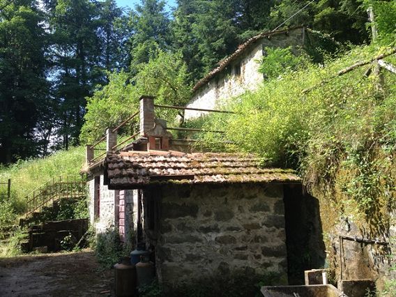 Villa Unifamiliare - Indipendente BARGA vendita    HOUSES IN TUSCANY
