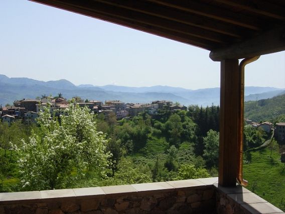 Rustico - Cascina MOLAZZANA vendita  Sassi  HOUSES IN TUSCANY