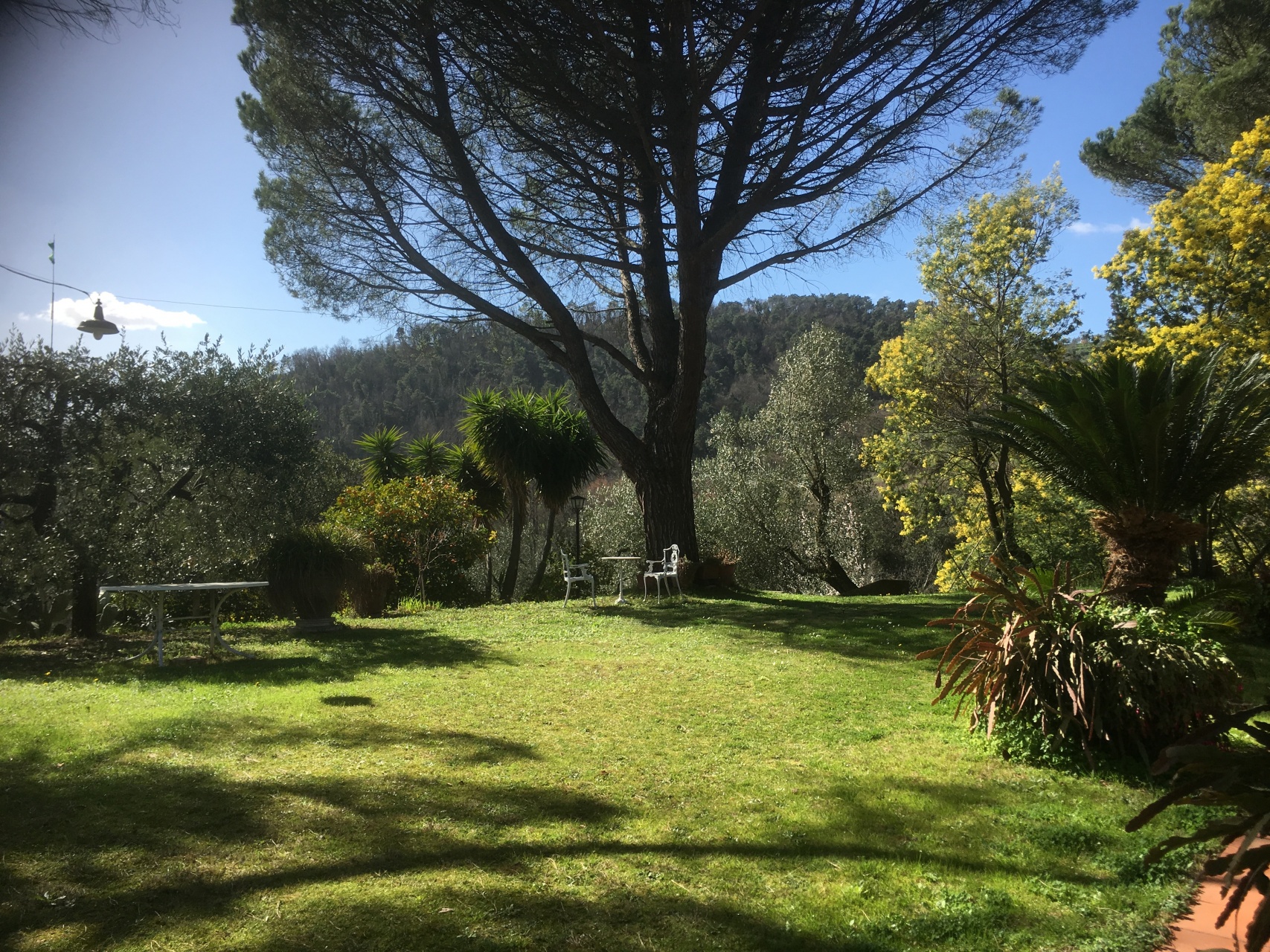 Villa Semi Indipendente MONTECATINI-TERME vendita    HOUSES IN TUSCANY