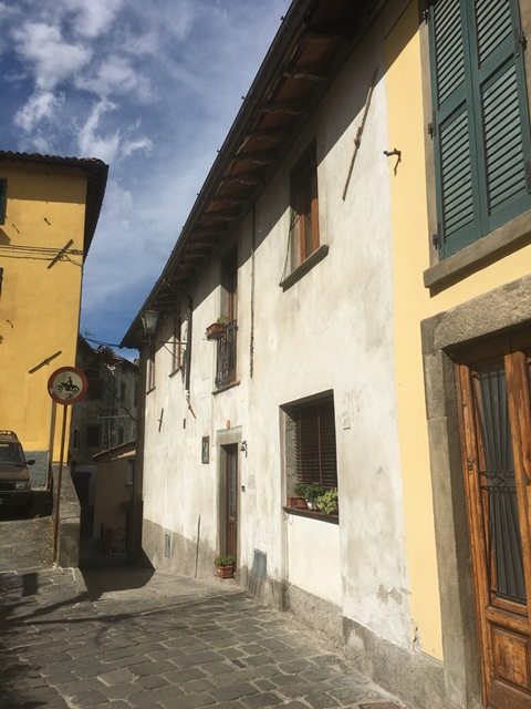 foto Due appartamenti con giardino con viste panoramiche nel centro storico di Barga, Lucca.