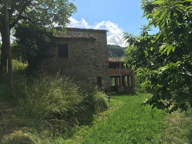 fotoTre tipiche capanne in pietra con 6000mq di terreno agricolo e oliveti, a soli 3 km dal paese di Barga, Lucca