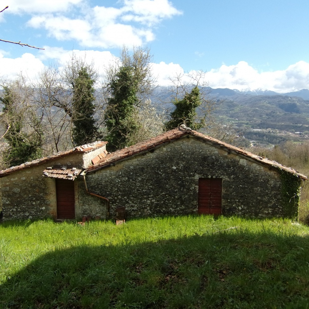 Rustico - Cascina GALLICANO vendita    HOUSES IN TUSCANY