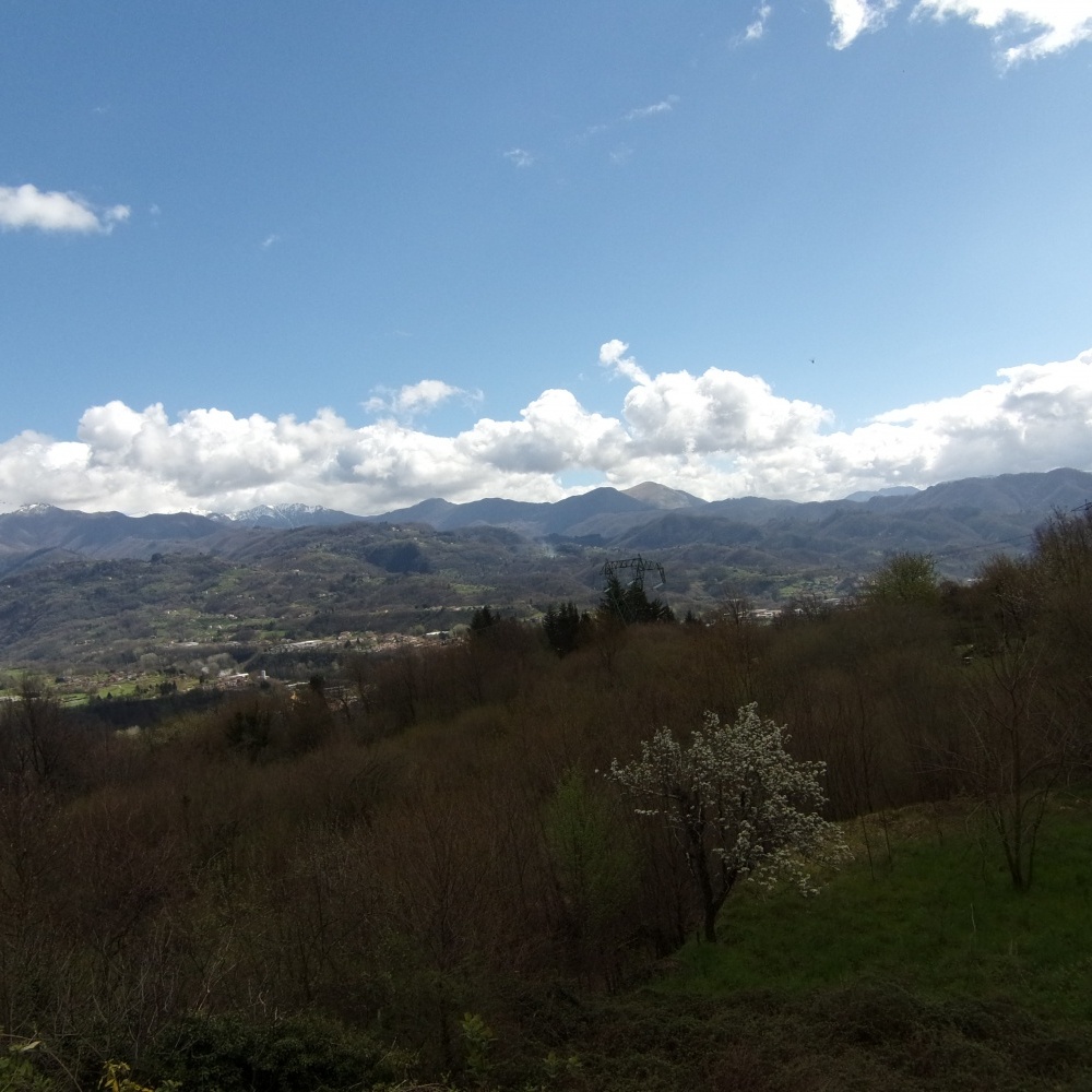 Rustico - Cascina GALLICANO vendita    HOUSES IN TUSCANY