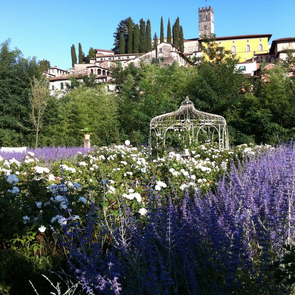 foto Villa storica con dependance, ampio giardino e piscina, Barga, Lucca