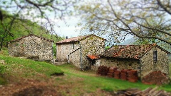 fotoCasa con metato, capanna e garage nei pressi di Barga, Lucca.