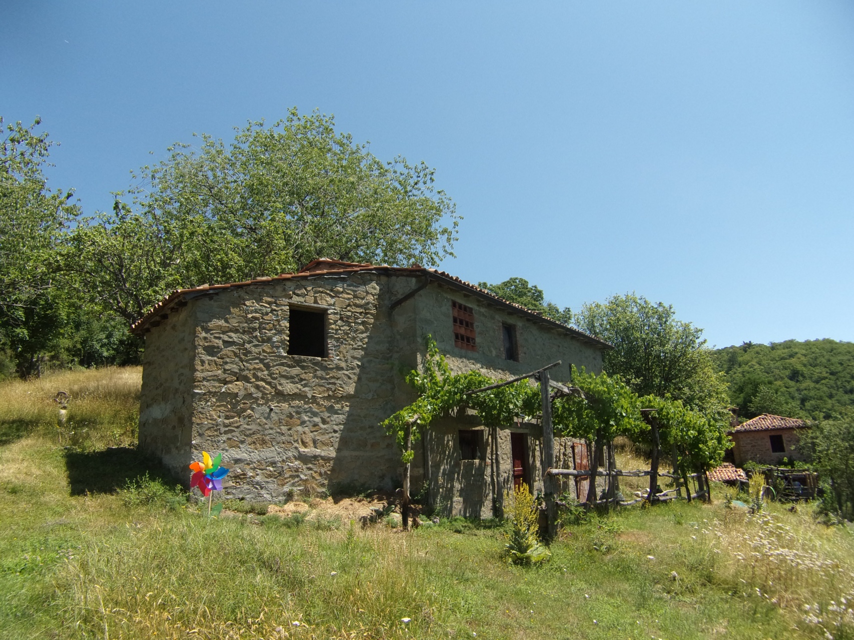 fotoCoppia di edifici rurali poste in 9 ettari di terreno in tenuta recintata, Barga, Lucca, Toscana.