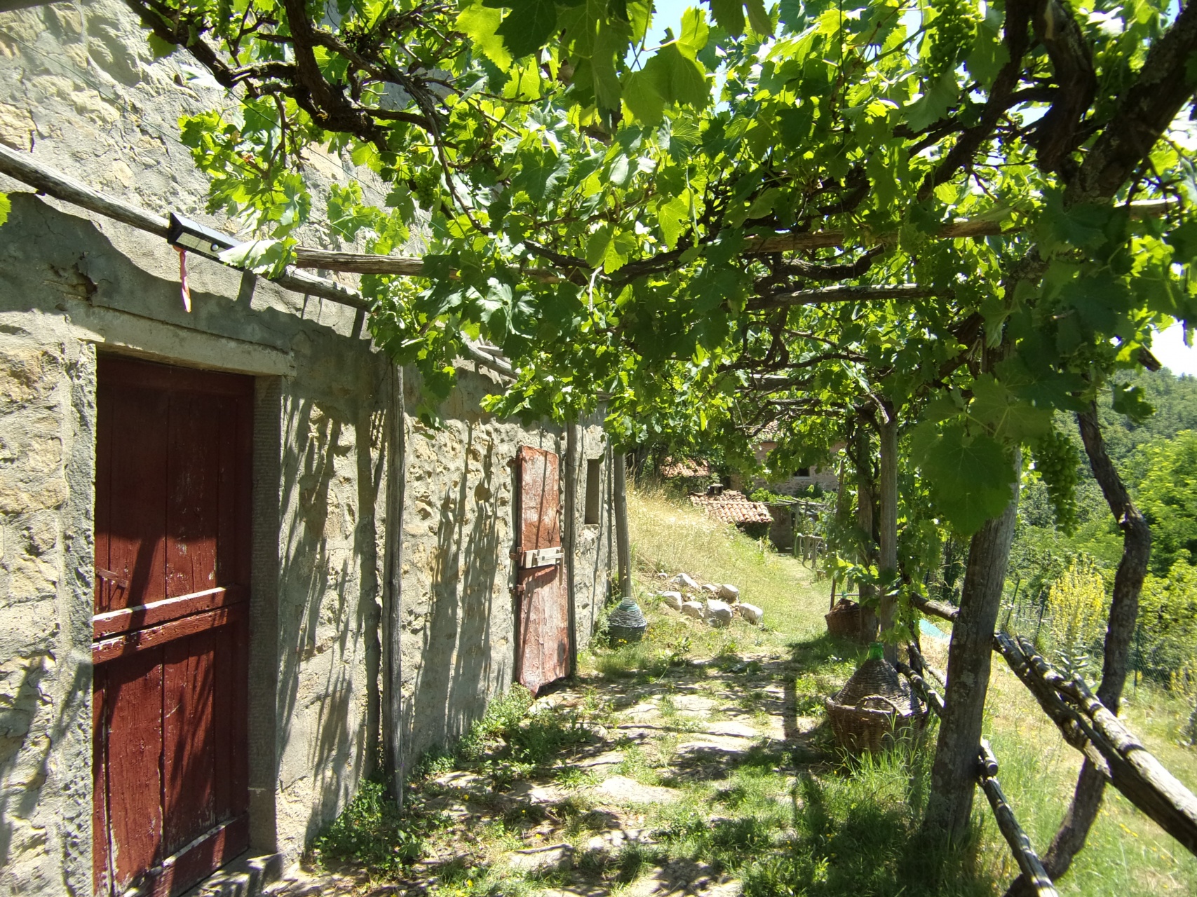Rustico - Cascina BARGA vendita    HOUSES IN TUSCANY