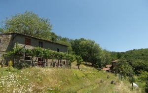 Country house/Farmhouse a Barga