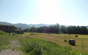 Farmland a Castiglione di Garfagnana