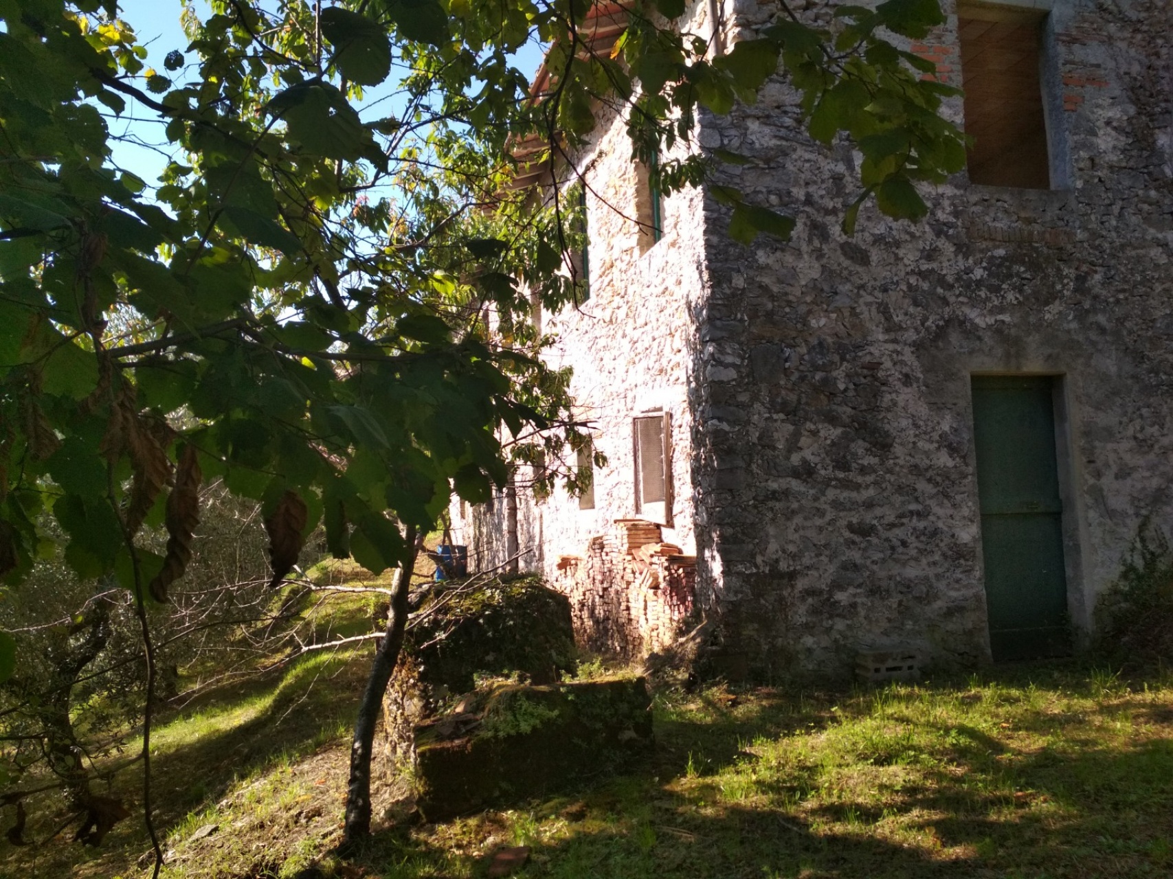 foto Grande Casale con uliveto a Borgo a Mozzano a soli 10 minuti dalla Città di Lucca.