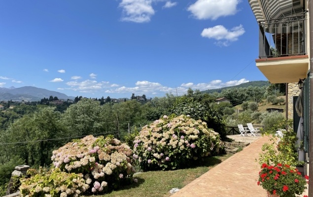 Renovated rural house, barn, vines & olives||| Barga, Lucca