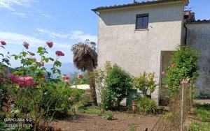 Country house/Farmhouse a Lucca (comune)