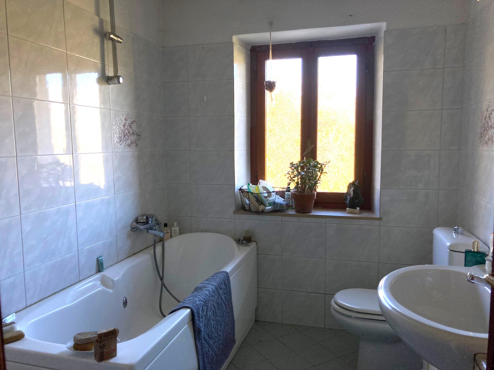 fotoComplesso di edifici rurali, con terreno, nel cuore della Garfagnana, Lucca.